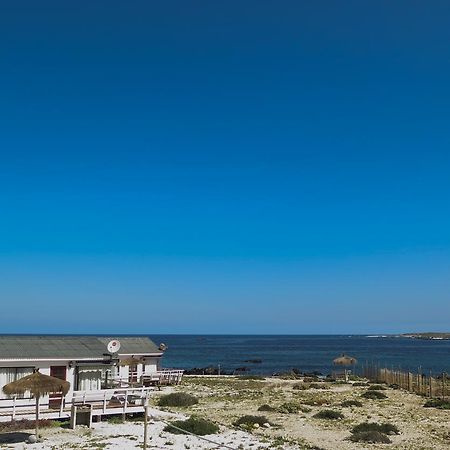 Villa Refugio Humboldt à Punta de Choros Extérieur photo