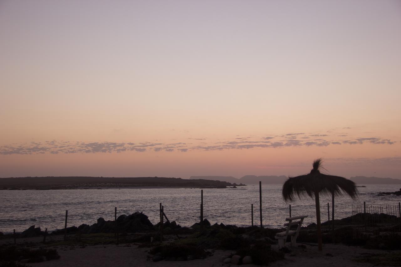 Villa Refugio Humboldt à Punta de Choros Extérieur photo