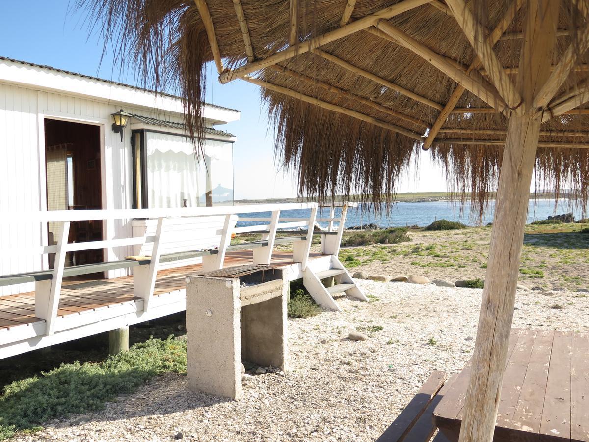 Villa Refugio Humboldt à Punta de Choros Extérieur photo