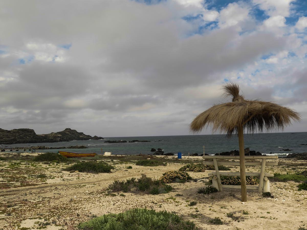 Villa Refugio Humboldt à Punta de Choros Extérieur photo