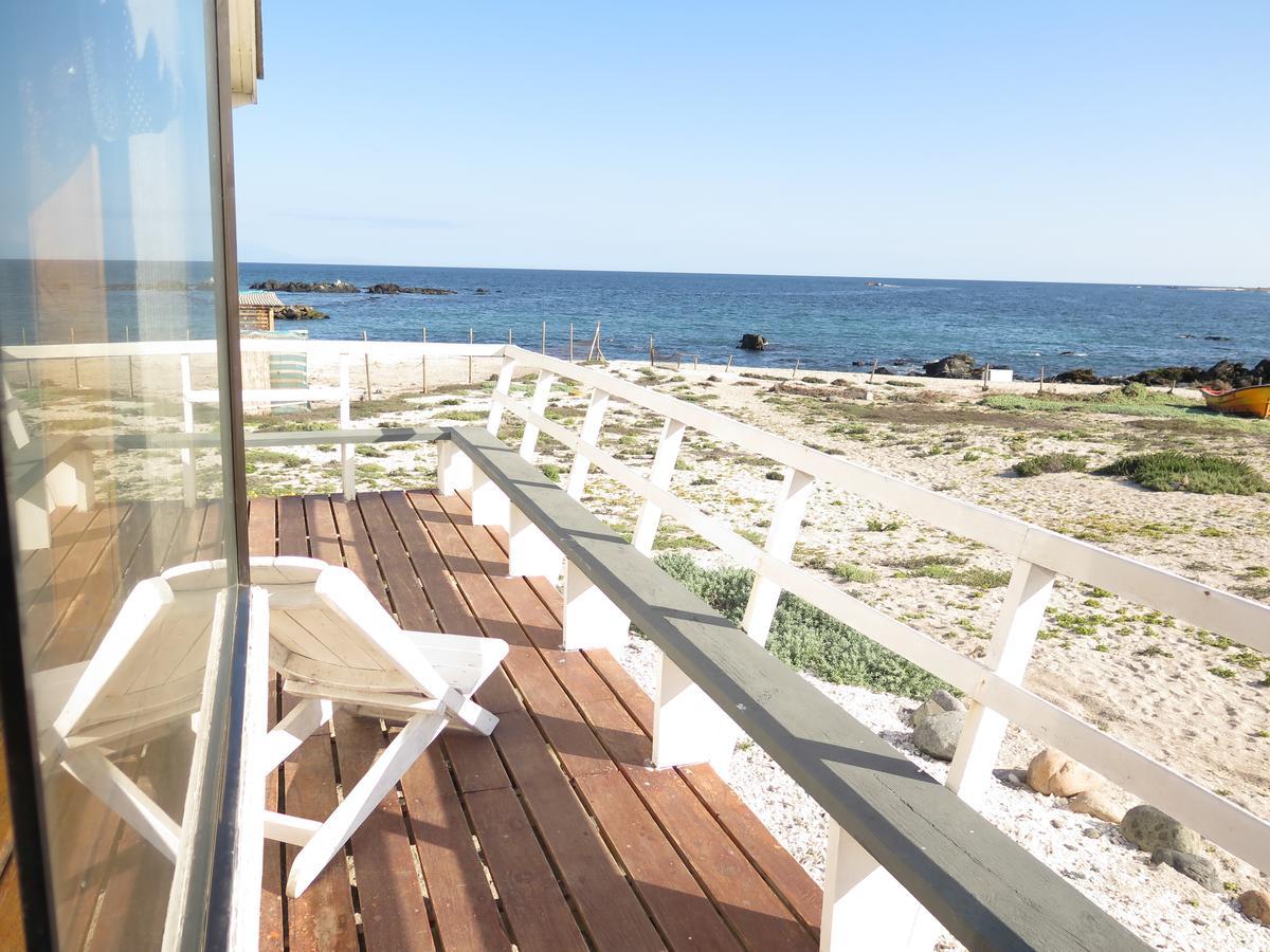 Villa Refugio Humboldt à Punta de Choros Extérieur photo